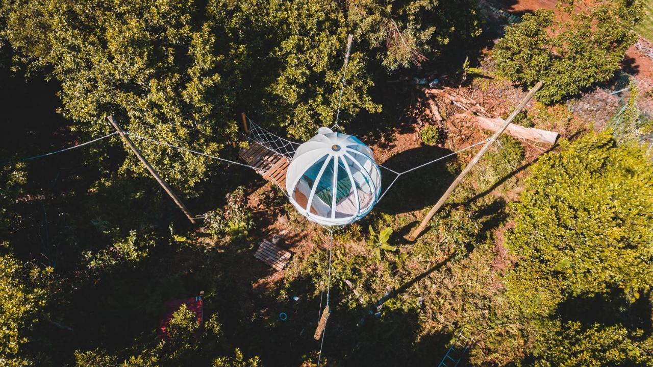アングラ・ド・エロイーズモ Quinta Do Abacate - Glamping Parkヴィラ エクステリア 写真