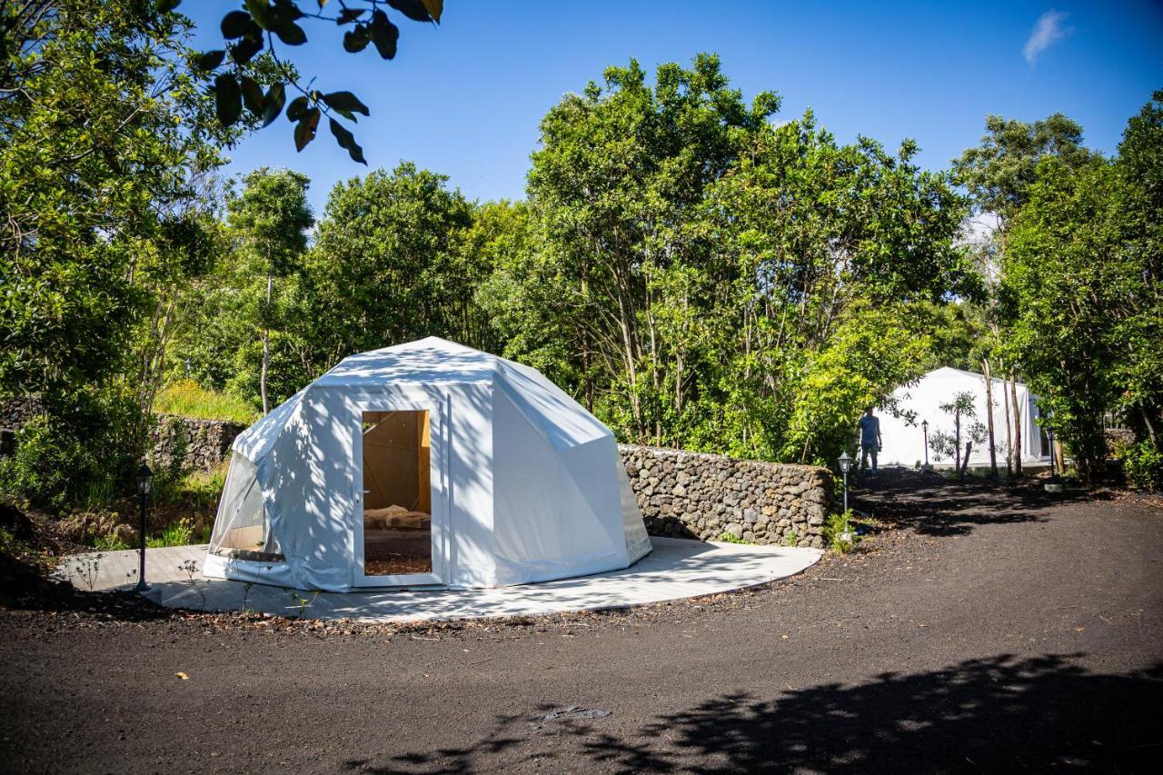 アングラ・ド・エロイーズモ Quinta Do Abacate - Glamping Parkヴィラ エクステリア 写真