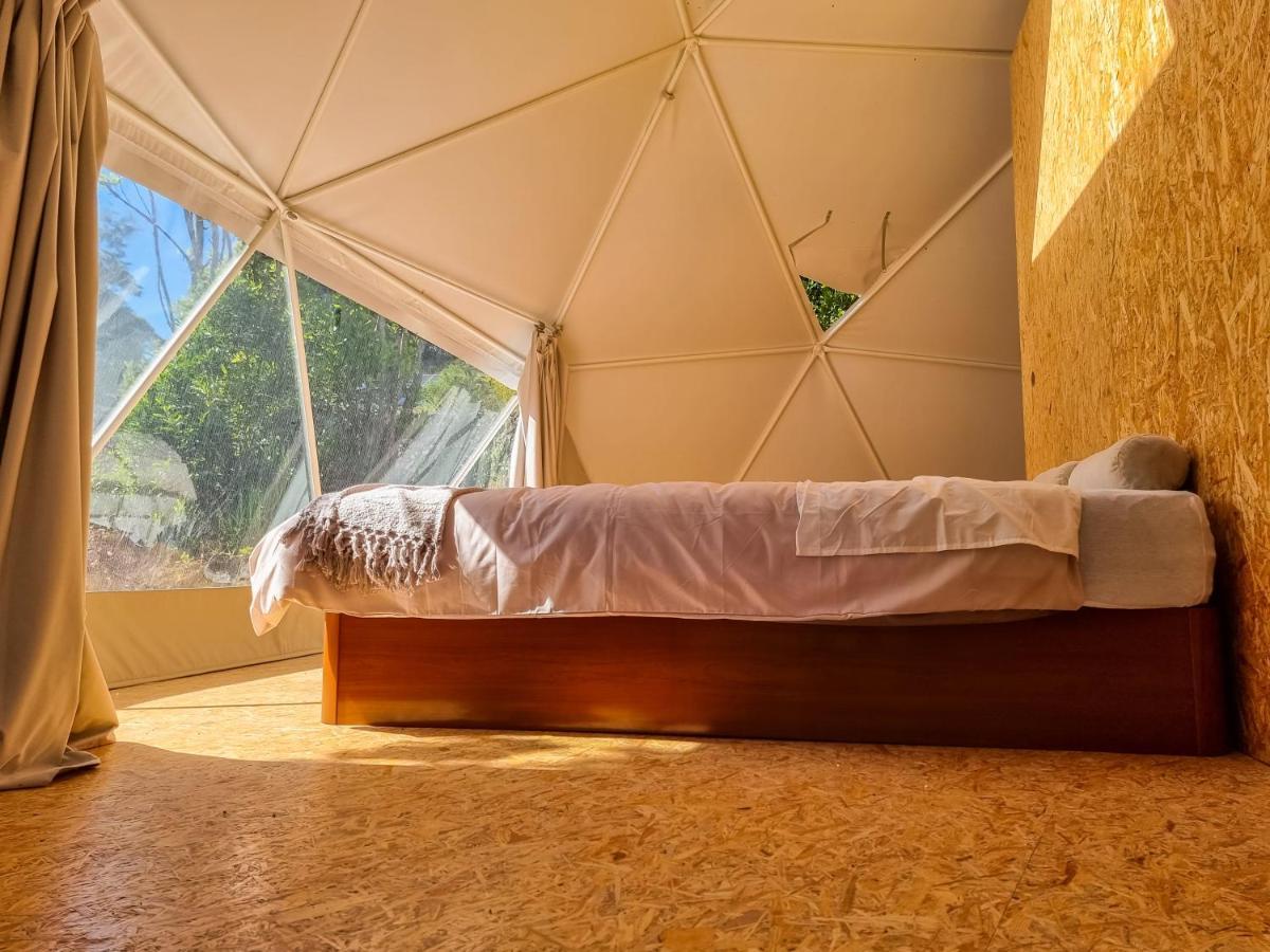 アングラ・ド・エロイーズモ Quinta Do Abacate - Glamping Parkヴィラ エクステリア 写真
