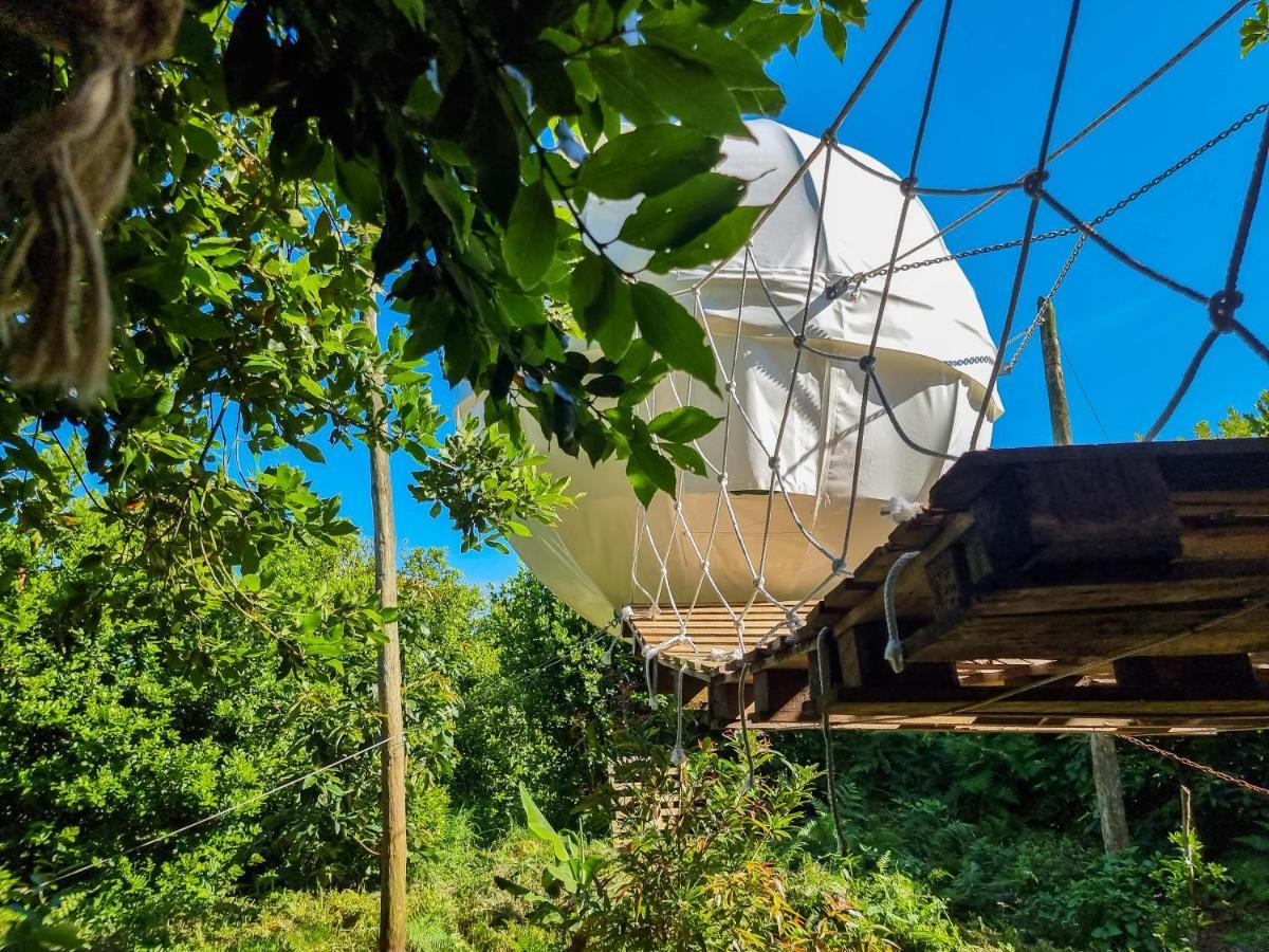 アングラ・ド・エロイーズモ Quinta Do Abacate - Glamping Parkヴィラ エクステリア 写真