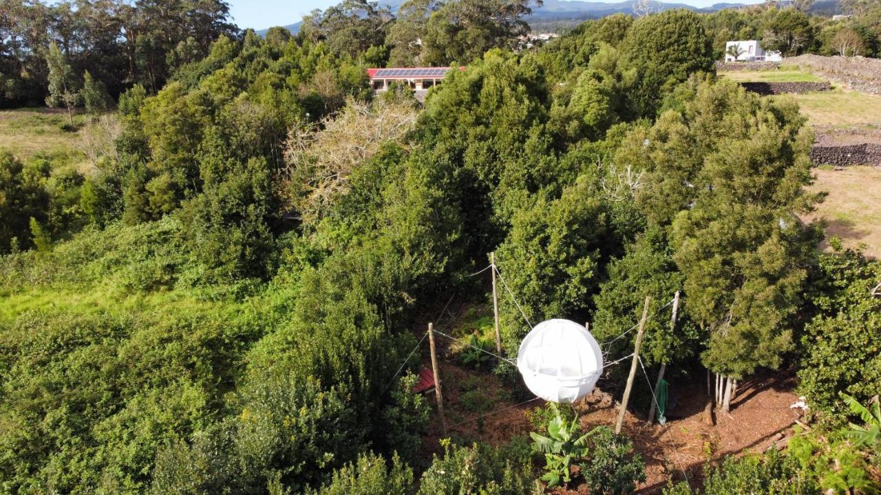 アングラ・ド・エロイーズモ Quinta Do Abacate - Glamping Parkヴィラ エクステリア 写真
