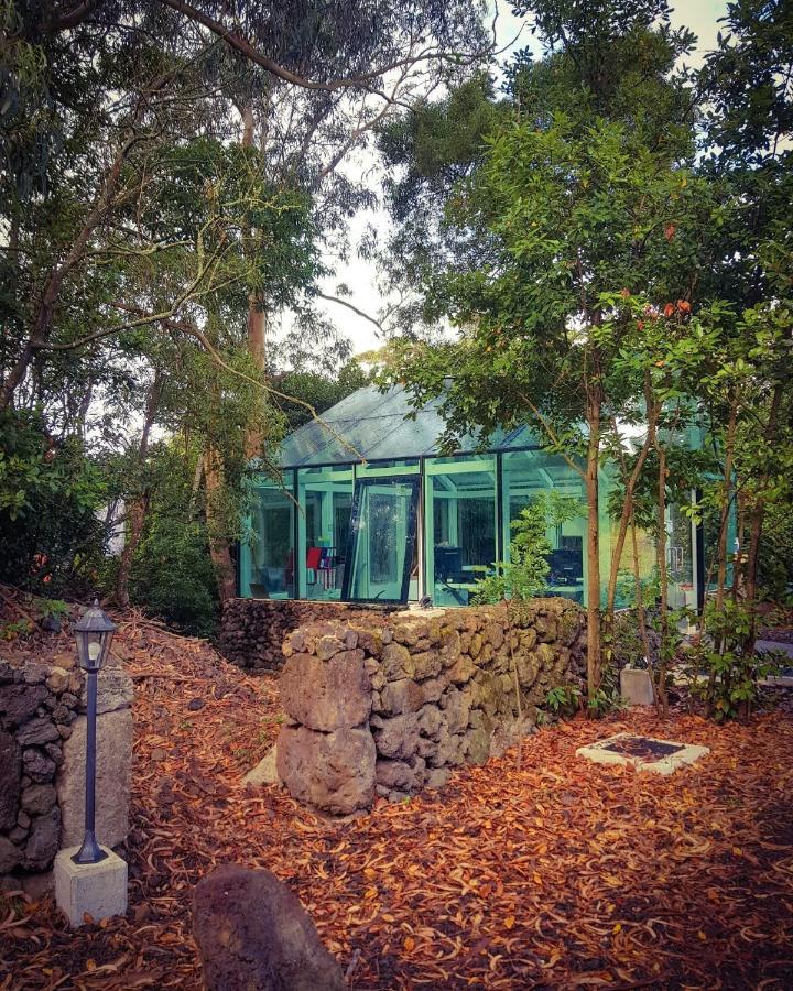 アングラ・ド・エロイーズモ Quinta Do Abacate - Glamping Parkヴィラ エクステリア 写真