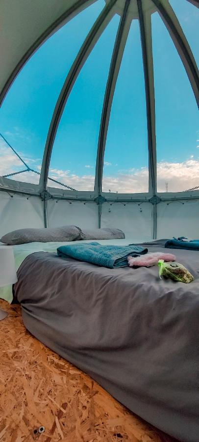 アングラ・ド・エロイーズモ Quinta Do Abacate - Glamping Parkヴィラ エクステリア 写真