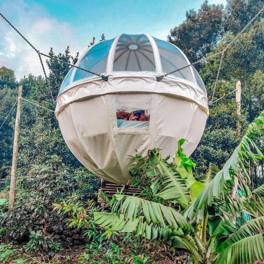 アングラ・ド・エロイーズモ Quinta Do Abacate - Glamping Parkヴィラ エクステリア 写真